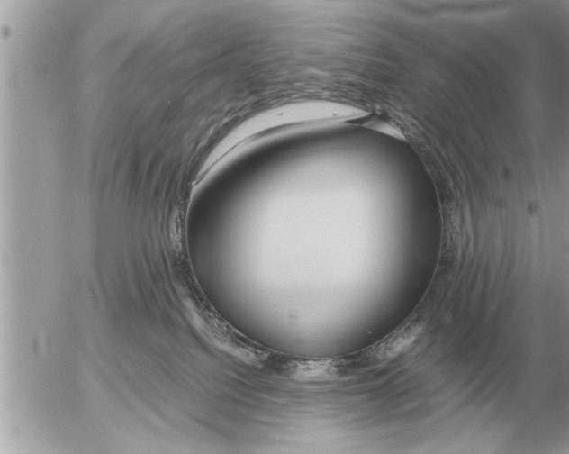 X0000052600088200507292134