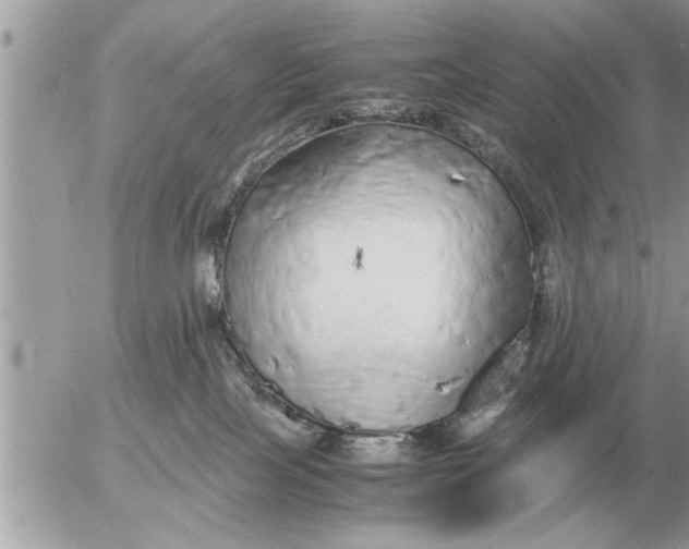 X0000052600089200507292134