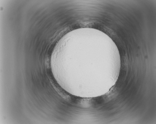 X0000052600090200507292134