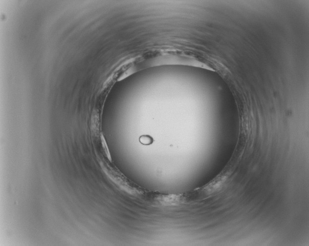 X0000052600092200507292134