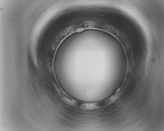 X0000052600093200507292134