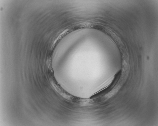 X0000052600096200507292134