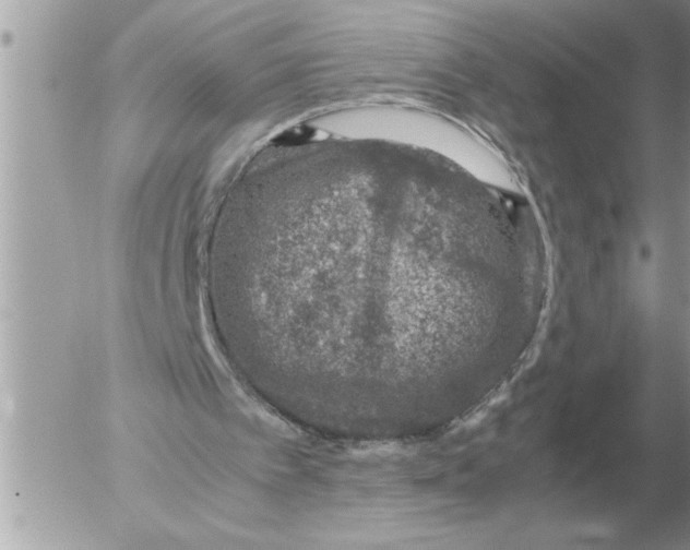 X0000052600097200507292133