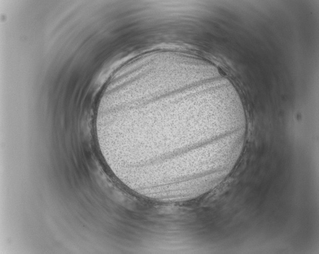 X0000052600098200507292133