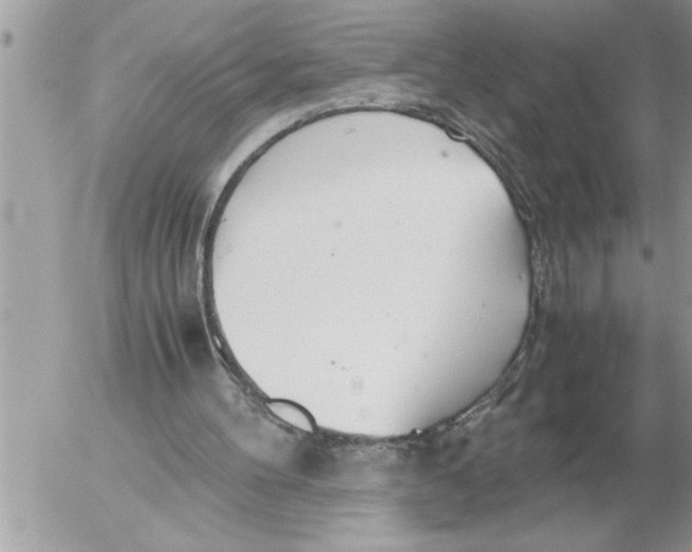 X0000052600100200507292133