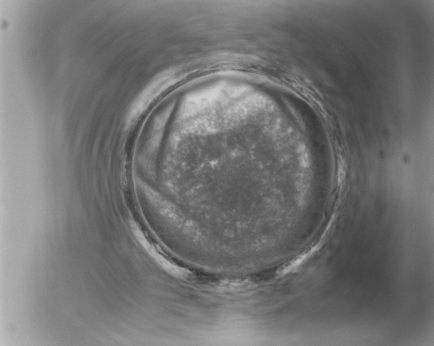 X0000052600101200507292133