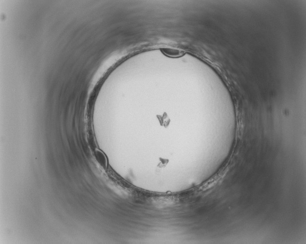 X0000052600102200507292133