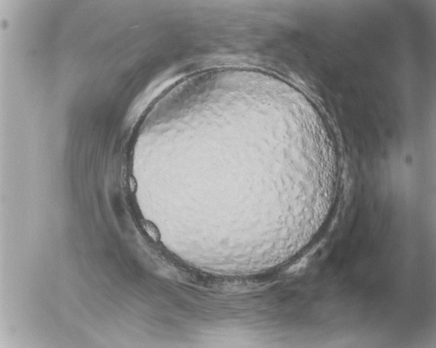 X0000052600103200507292133