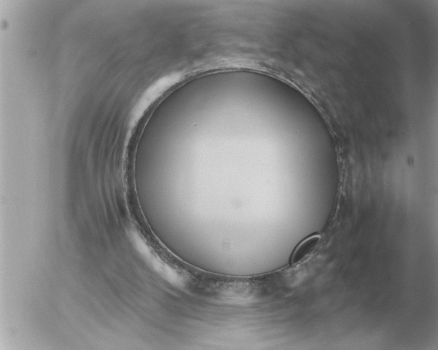 X0000052600104200507292133