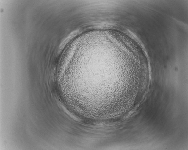 X0000052600105200507292133