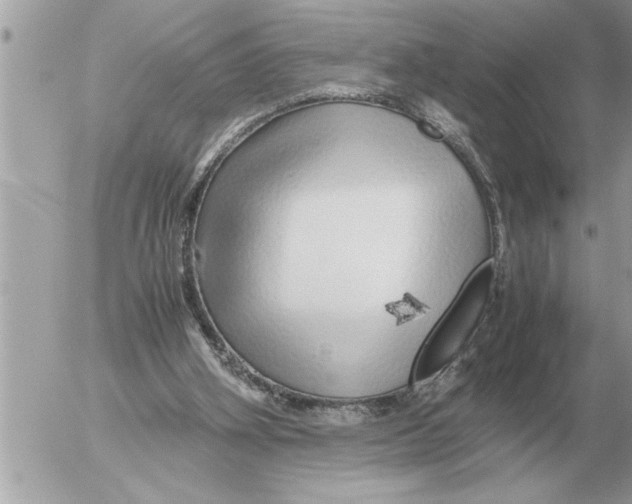 X0000052600106200507292133