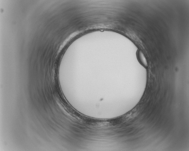 X0000052600108200507292133