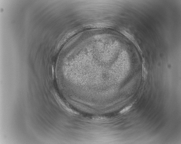 X0000052600109200507292133