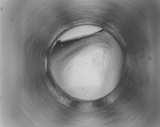 X0000052600110200507292133