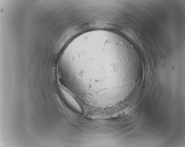 X0000052600111200507292133