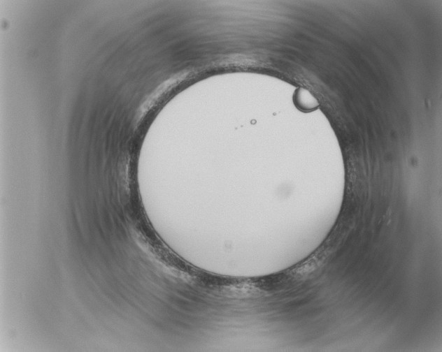 X0000052600112200507292133