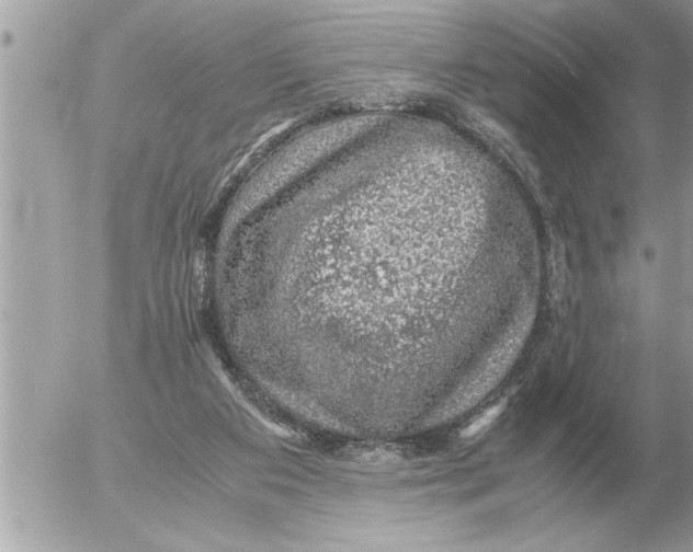 X0000052600113200507292133