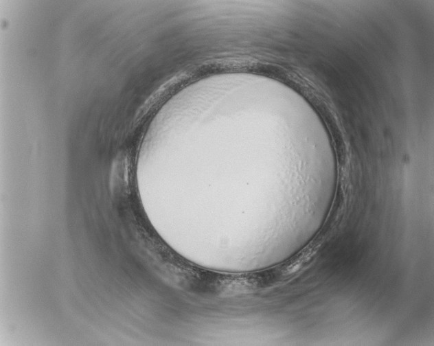 X0000052600115200507292133