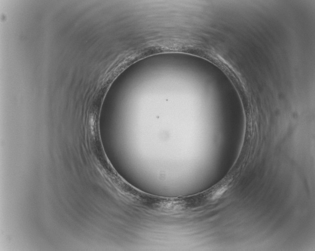 X0000052600117200507292133