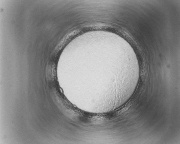 X0000052600119200507292133