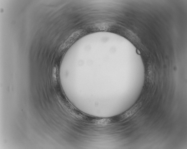 X0000052600122200507292133