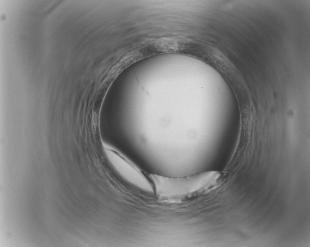 X0000052600125200507292132