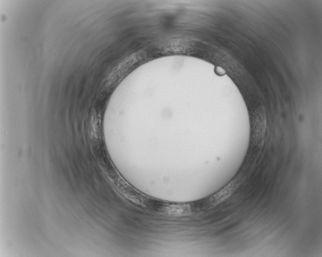 X0000052600126200507292132