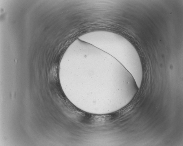 X0000052600127200507292132