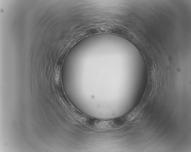 X0000052600129200507292132