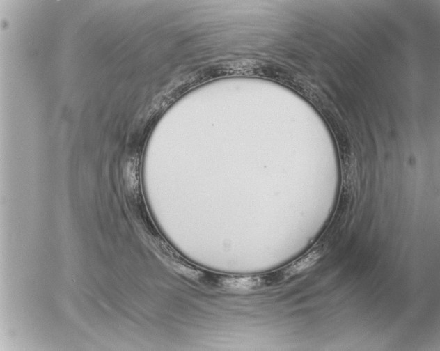 X0000052600131200507292132