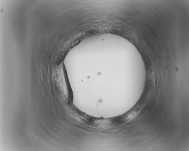 X0000052600133200507292132