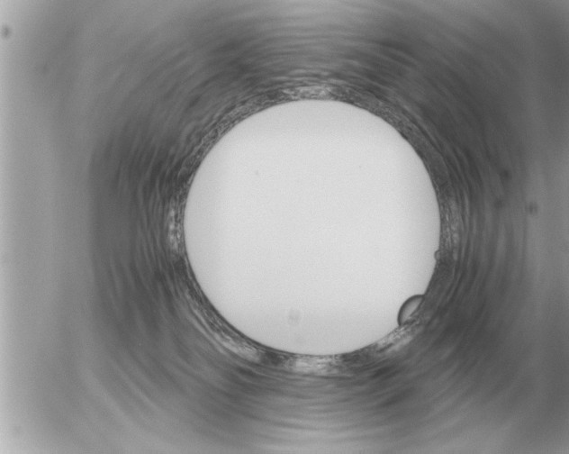 X0000052600134200507292132