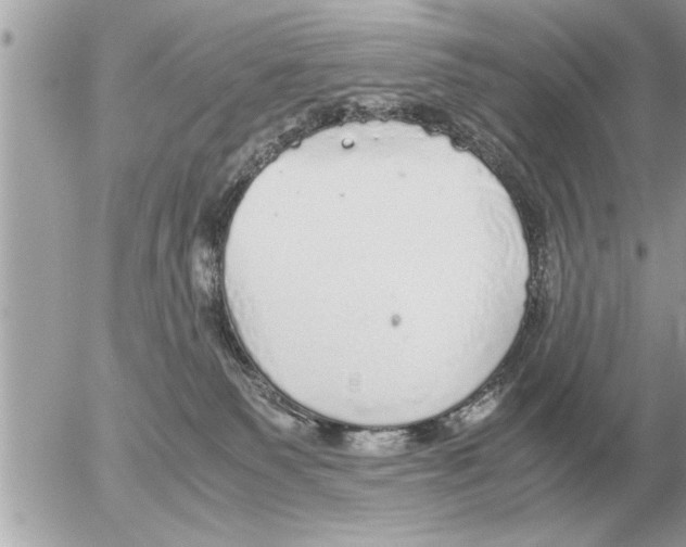 X0000052600135200507292132