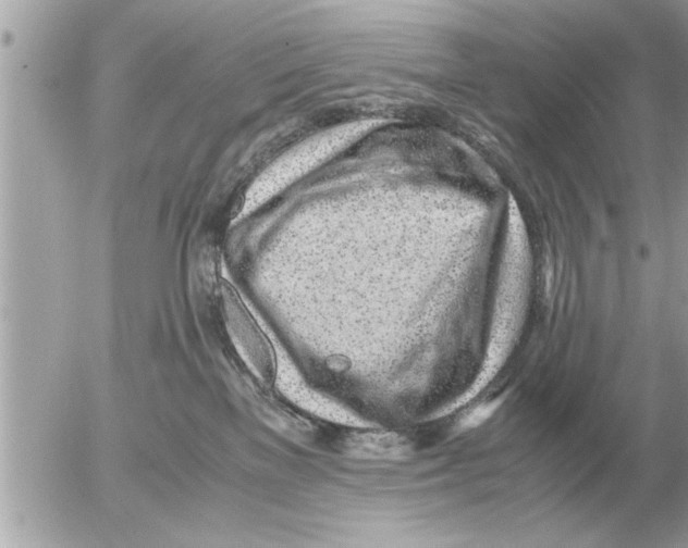 X0000052600137200507292132