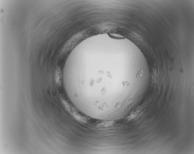 X0000052600138200507292132