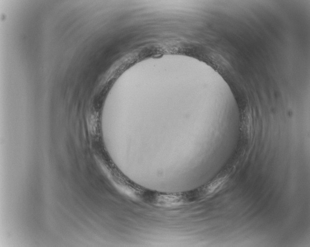 X0000052600139200507292132