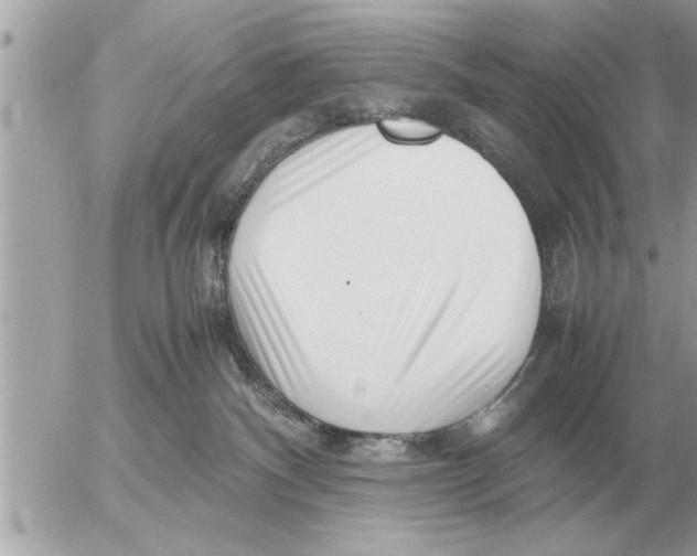 X0000052600140200507292132