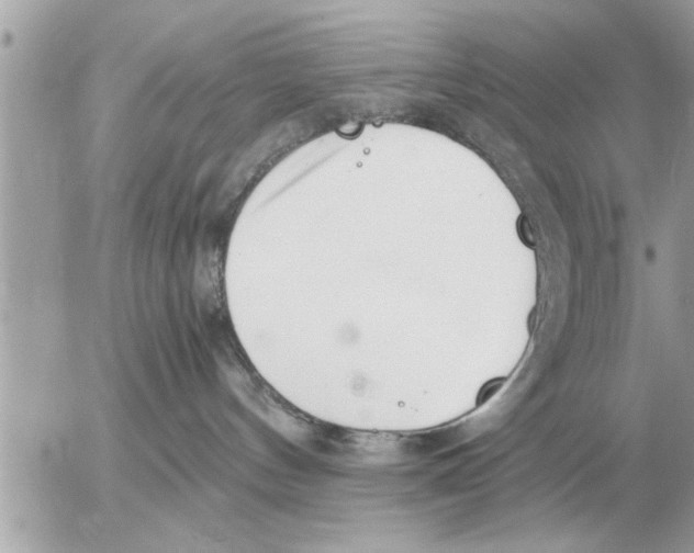 X0000052600144200507292132