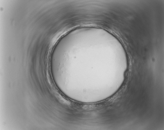 X0000052600145200507292131