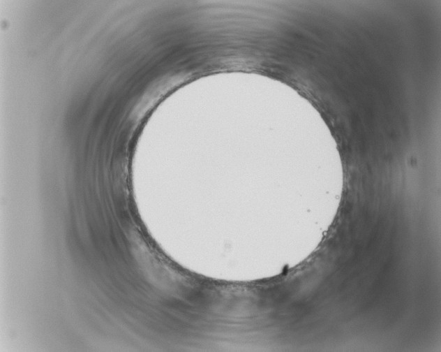 X0000052600146200507292131