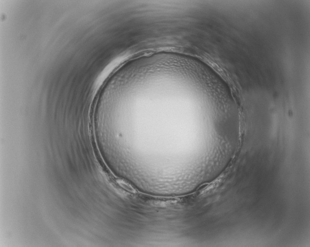 X0000052600147200507292131