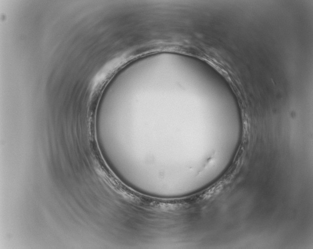 X0000052600149200507292131