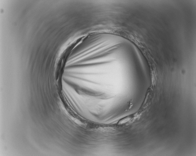 X0000052600150200507292131