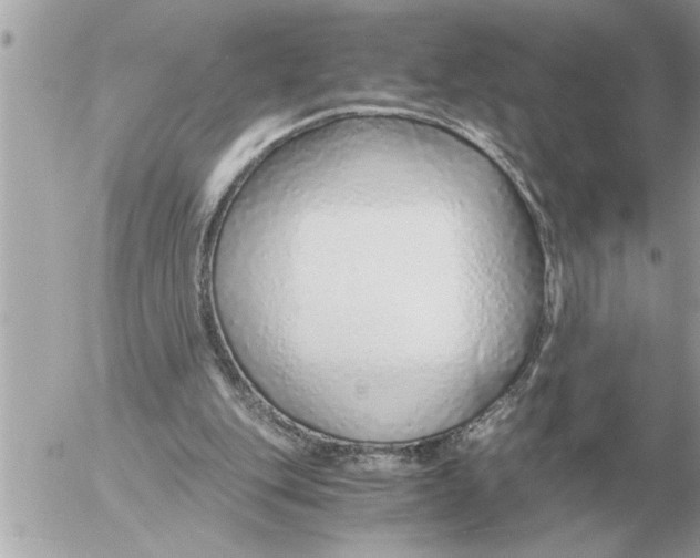 X0000052600151200507292131