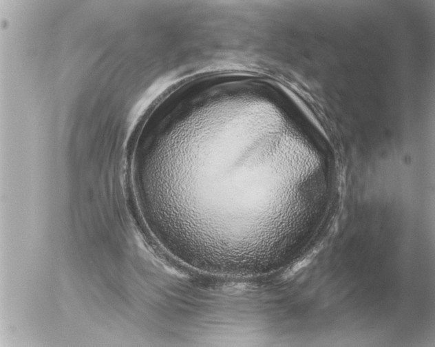 X0000052600152200507292132