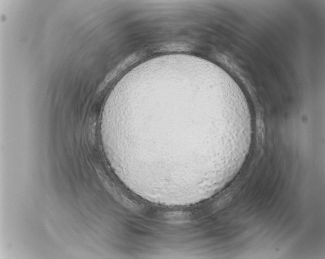 X0000052600153200507292132