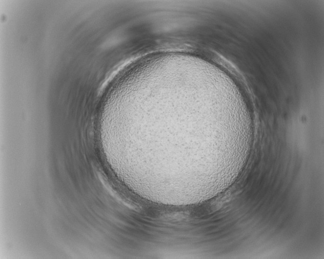 X0000052600155200507292132