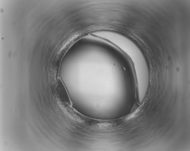 X0000052600158200507292132