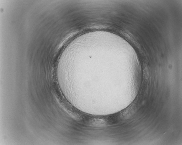 X0000052600159200507292132