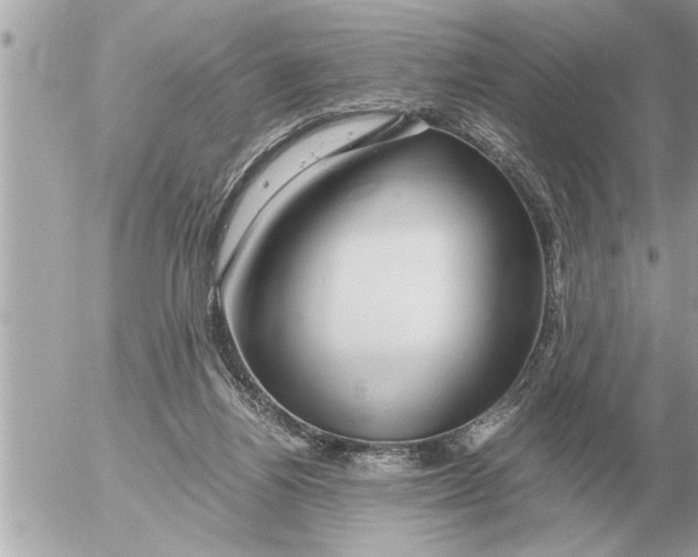 X0000052600164200507292132